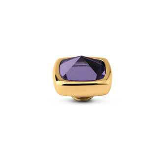 Melano Vivid steentje Boxy Cz Goudkleurig Purple