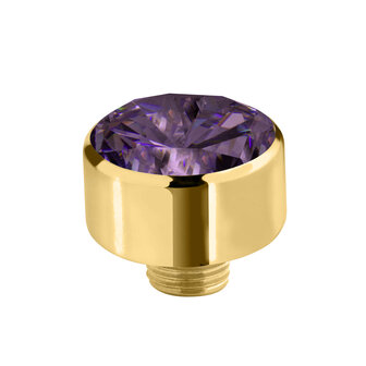 Melano Sturdy Steentje Cz 8mm Goudkleurig Purple